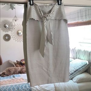 Zara Striped Pencil Skirt w/ Back Zip